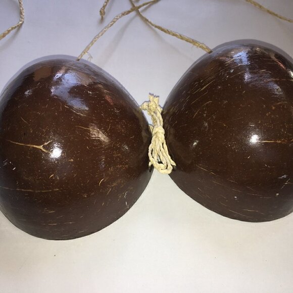 Coconut Shell Bikini Top, Hawaii, Size A Cup - Picture 1 of 2